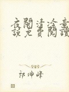 夜阑清冷意欢小说免费阅读