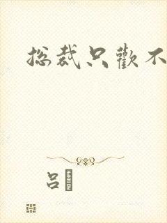 总裁只欢不爱封面