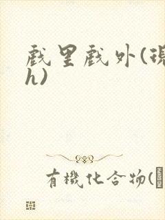 戏里戏外(现场h)