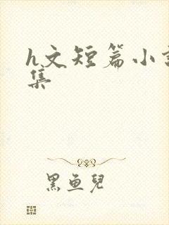 h文短篇小说合集