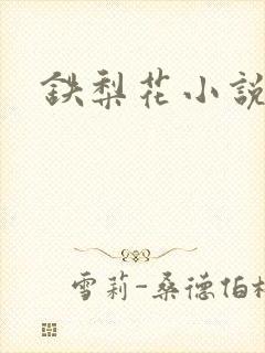 铁梨花小说