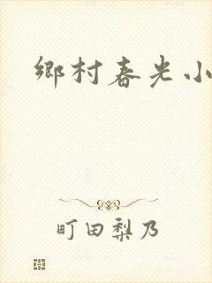 乡村春光小说