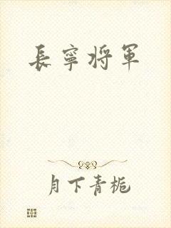 长宁将军