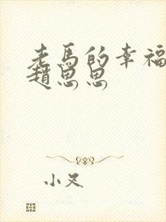 老马的幸福生活赵思思