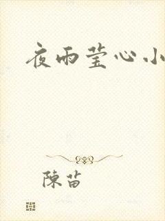 夜雨莹心小说