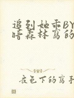 追到她乖BY黑暗森林写的小说