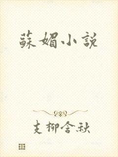 苏媚小说
