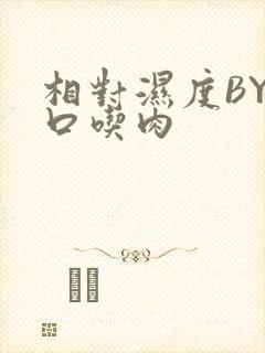 相对湿度BY大口吃肉