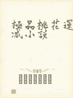 极品桃花运未删减小说