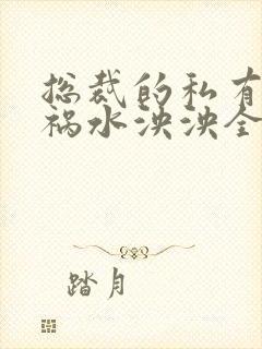 总裁的私有宝贝祸水泱泱全文阅读