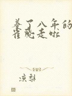 养了八年的金丝雀飞走啦