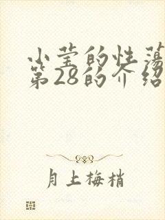 小莹的性荡生活第28的介绍