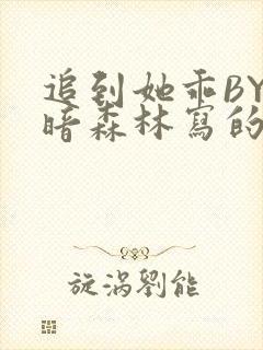 追到她乖BY黑暗森林写的小说