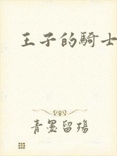 《王子的骑士小说》小说封面