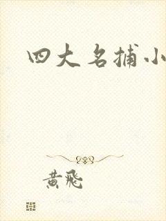 四大名捕小说