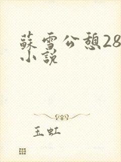 苏雪公憩28篇小说