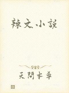 辣文小说