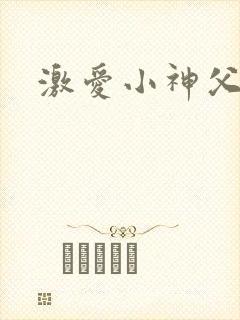 激爱小神父