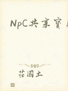 NpC共享宝贝