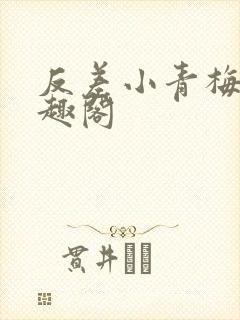 反差小青梅 笔趣阁