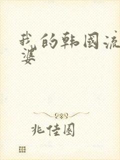 我的韩国流氓老婆
