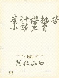 蜜汁樱桃苦咖啡小说免费