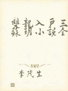 双龙入户三人行苏玥小说全文阅读