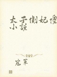 太子侧妃傻乎乎小说