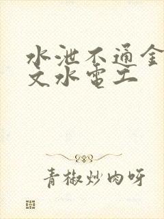 水泄不通金银原文水电工