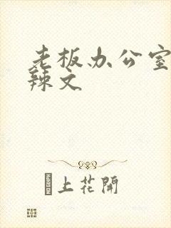 老板办公室系列辣文