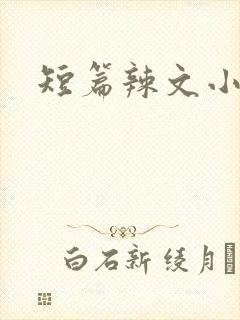 短篇辣文小说