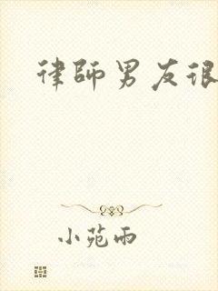 律师男友很难撩