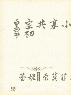 皇家共享小公主宁初