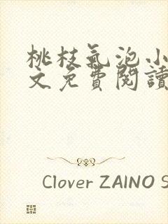 桃枝气泡小说全文免费阅读