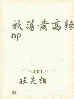 放荡黄高辣h文np