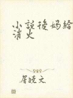 小说后妈给我消消火