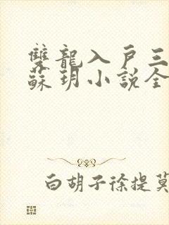 双龙入户三人行苏玥小说全文阅读