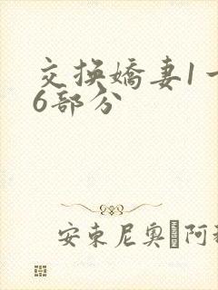 交换娇妻1一36部分