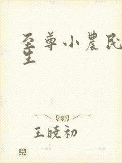 至尊小农民王木生