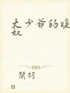 大少爷的暖床小奴