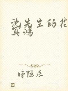 沈先生的花式调冥鸿