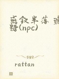 燕钗半落 琥珀糖(npc)