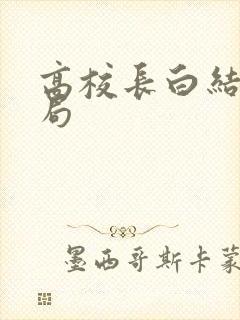 高校长白结大结局