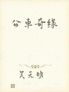 公车奇缘