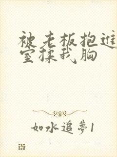 被老板抱进办公室揉我胸