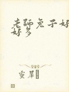 《老师兔子好软水好多》小说封面