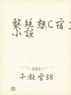 系统想C宿主的小说