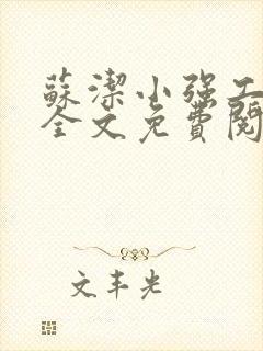 苏洁小强工地情全文免费阅读