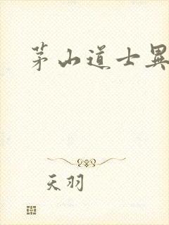 茅山道士异界游