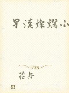 星汉灿烂小说
